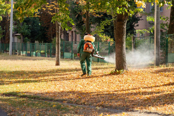 Best Insect Control  in , ME