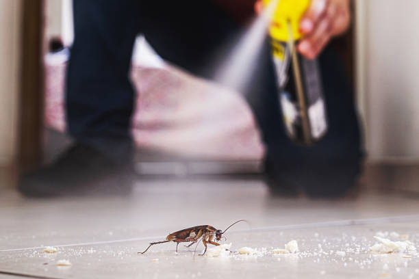 Best Pest Removal Services  in , ME