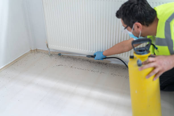 Best Affordable Pest Control Services  in , ME